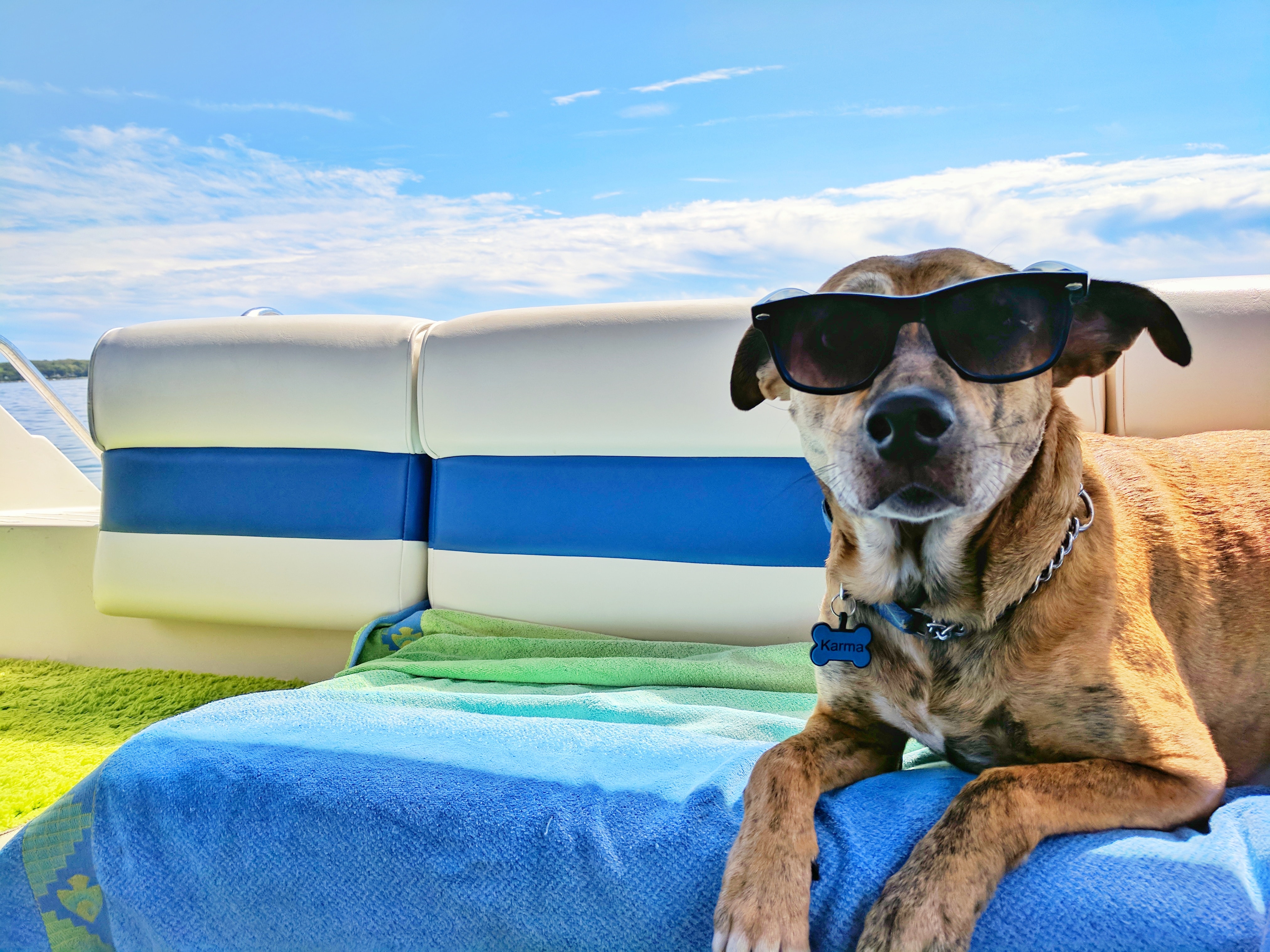 Pet-Friendly Vacation Rentals